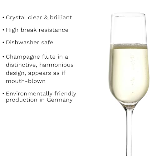Revolution Sparkling Wine Champagne Glasses 6 3 (4 Pieces (1 Pack))
