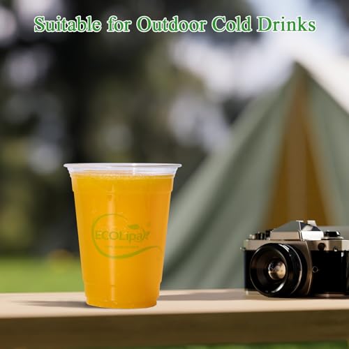 1000 Count 16 OZ Clear Compostable Plastic Cups for Restaurant (16oz-clear)
