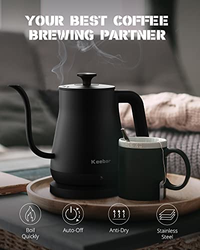 Electric Gooseneck Kettle (Black / 0.8 Quarts)