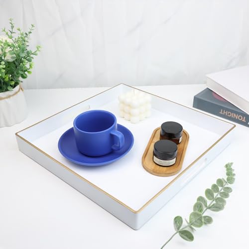 Decorative Tray (Sl005r)
