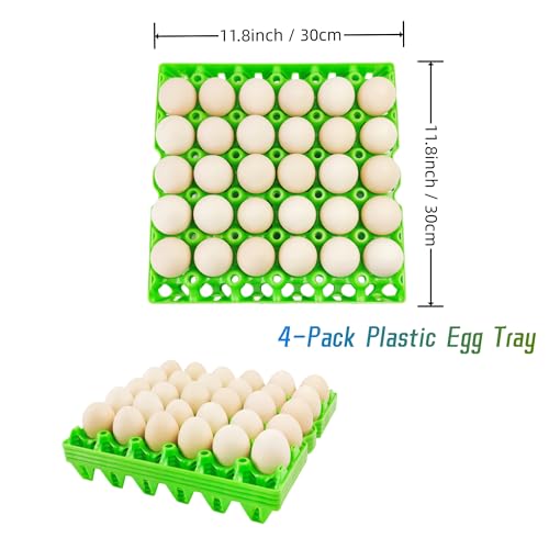 4 Pack Plastic Egg Tray Egg Crates (4 Count)
