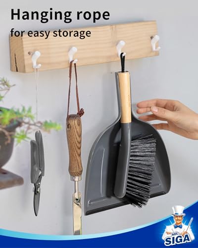 Dustpan and Brush Set
