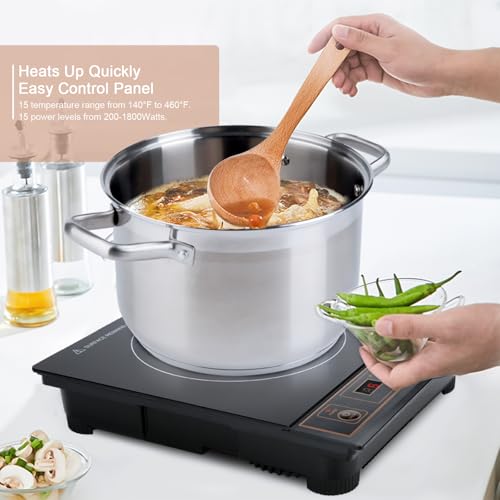 1800W Portable Induction Cooktop Countertop Burner (Gold)