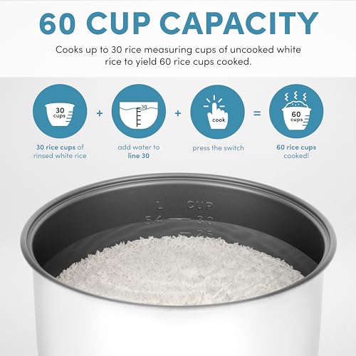 Housewares 60 (30-Cup UNCOOKED)