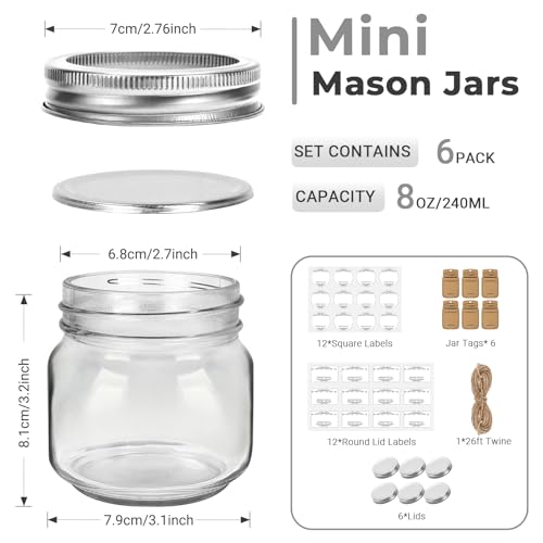 6 Pack 8oz Small Glass Mason Jars