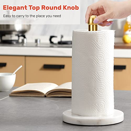 Heavy Weighted Paper Towel Holder