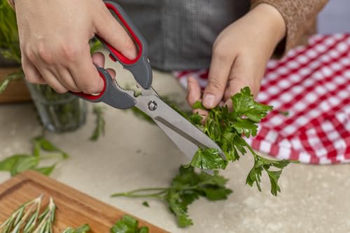 Kitchen Shears Universal (Universal Kitchen Shears)