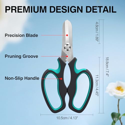 Pruning Shears