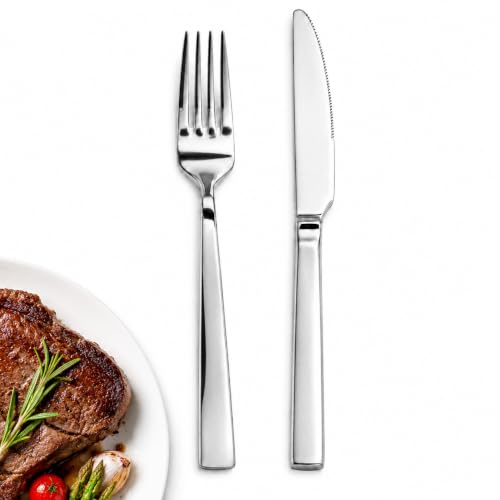 20 Piece Stainless Steel Dinner Knife and Fork Set for 10 (8.1-9.1INCHE DINNER SET)
