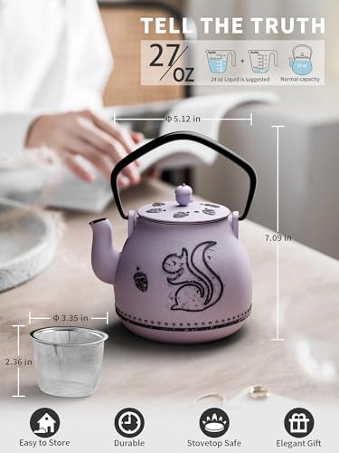 Teapot with Removable Infuser (1 Quarts / Purple Squirrel)