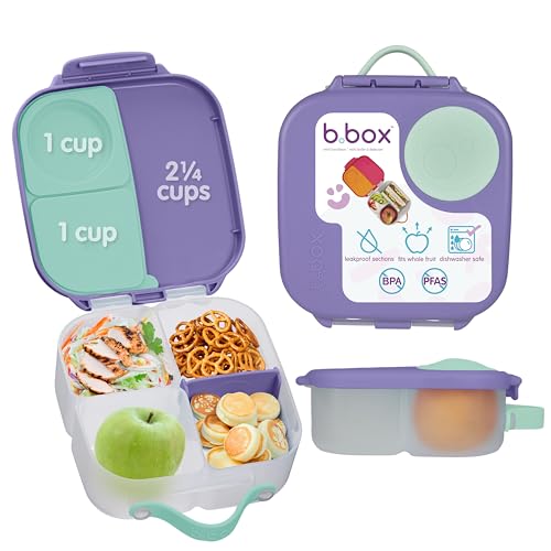 Mini Lunch Box