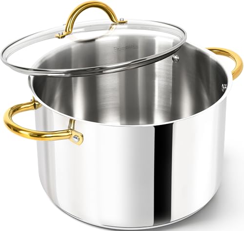 Stainless Steel Pots (10 Quarts)