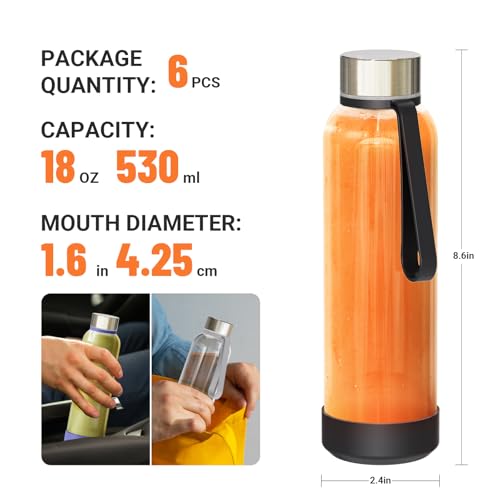 18 oz Glass Water Bottles with Lids (Clear / 18oz)