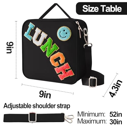 Insulated Lunch Bag With Adjustable Shoulder Strap (Black)