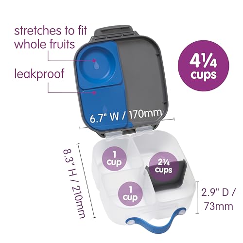 Lunch Box Kids 2 (Gray/Blue / 2-pack)