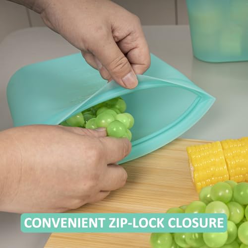 Large Reusable Storage Bag (Aqua | Medium | 4 Pack)