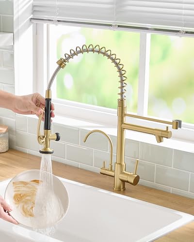 3 Way Kitchen Faucets with Sprayer and Water Filter Brushed Gold (Brushed Gold)