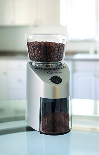 560.04 Infinity Conical Burr Grinder (Stainless Steel / 8.5 oz / Grinder)
