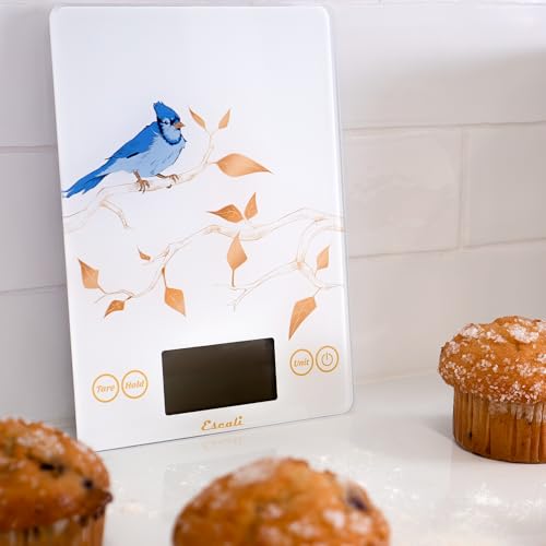 Arti Blue Jay Glass Food Scale Digital Countertop Kitchen (White / 9" X 6.5" X 0.75")