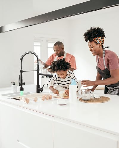Black Kitchen Faucet with Pull Down Sprayer (Matte Black)