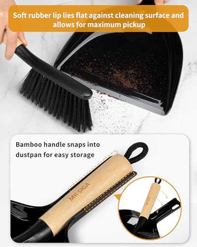 Dustpan and Brush Set