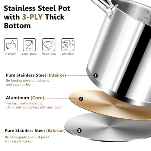 10 QT Stainless Steel Stock Pot with Lid (10 Quarts)