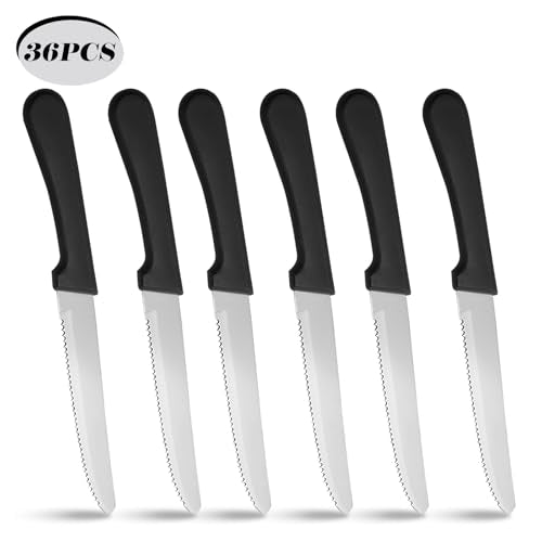 36 PCS Steak Knife Set (36PCS Steak Knife)