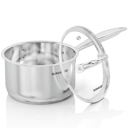 Stainless Steel Saucepan