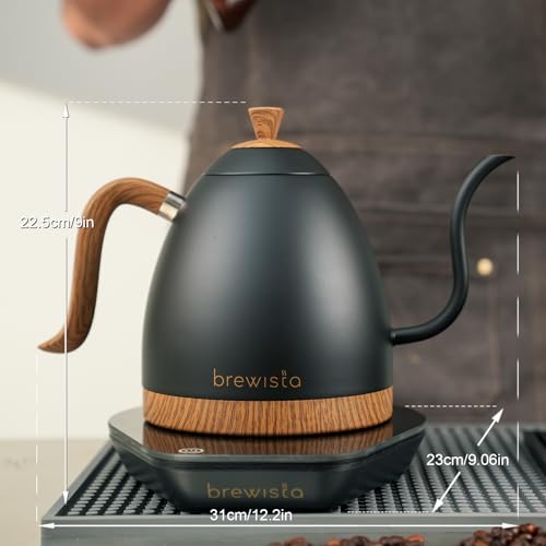 Artisan Electric Gooseneck Kettle (Matte Black)