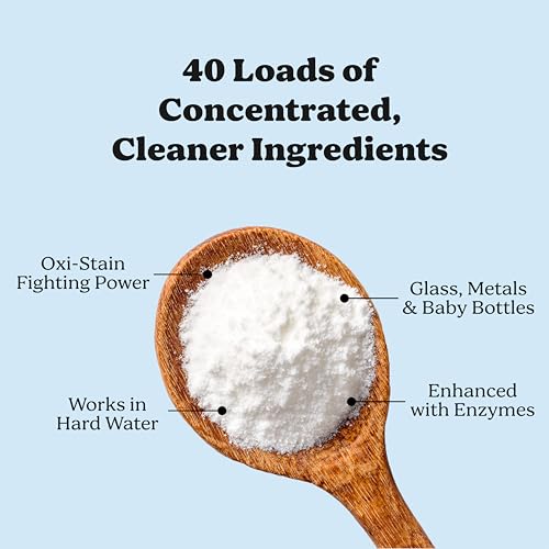 Dishwasher Detergent (13.67 Ounce (Pack of 1))
