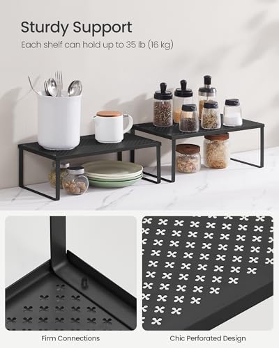 Set of 2 Metal Spice Racks (Ink Black / 2 Tiers (9"D x 15.7"W))