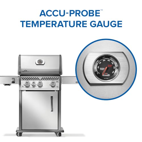 Rogue PRO 425 3 (Stainless Steel / Rogue PRO 425)