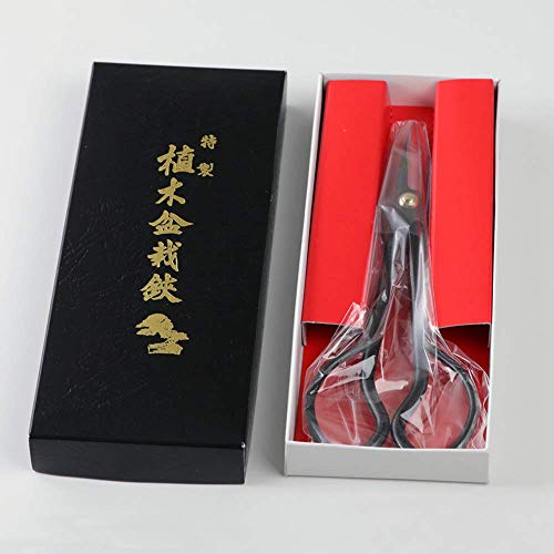 Satsuki Bonsai Scissors (Satsuki 7")
