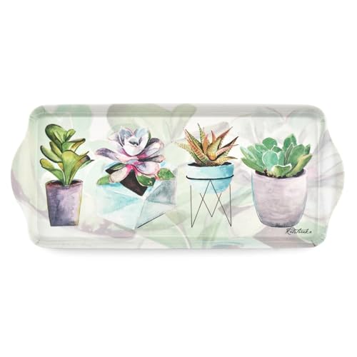 Succulent Sandwich Tray Decorative Rectangular Melamine (15.1" x 6.5" x 1" / Succulents)