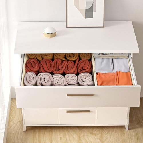 Drawer Organizer Clothes (24 Count)
