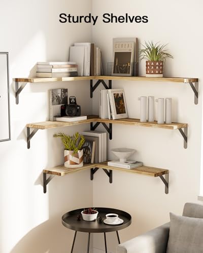 Amada Solid Paulownia Wood Wall Shelves (Wooden / Large)