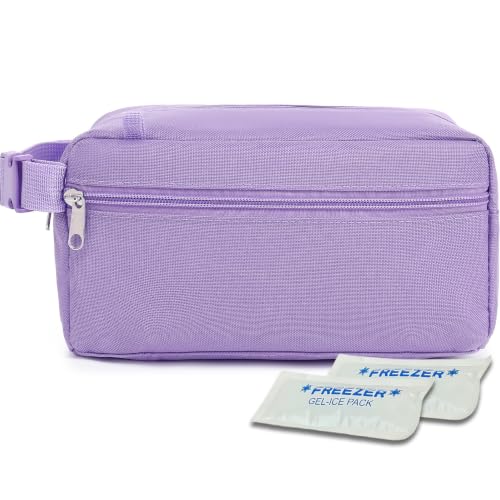 Freezable Snack Bag with Removable Ice Packs (with Ice Packs - Purple)
