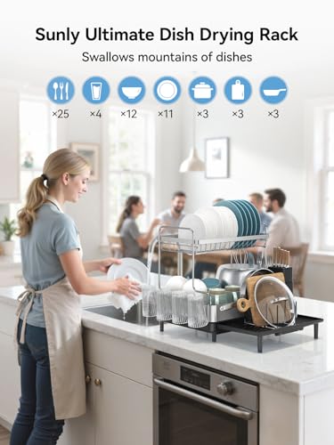 2 Tier Dish Drying Rack