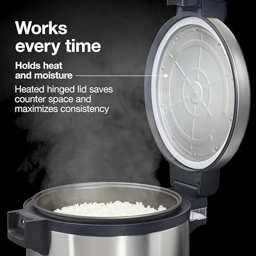 37580 Rice Warmer