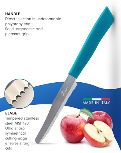 6 kitchen Knives Set (Red)