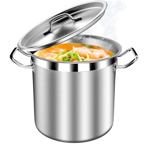 Stock Pot 20 Quart with Lid (20 Quarts)