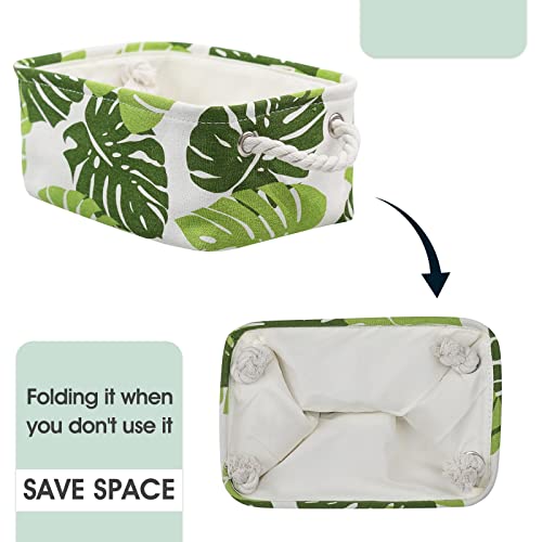 Storage Cubes (Banana Leaf / Small-6 Pack)