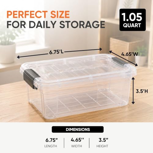 1.05 Quart Mini Clear Plastic Storage Container with Lid (1.05 Quart)