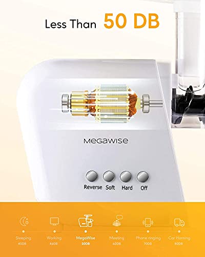 Slow Masticating Juicer