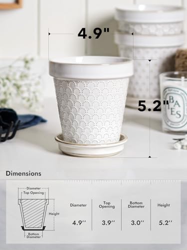 Ceramic Plant Pots (4.9 inch)