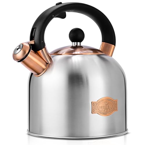 Tea Kettle 3.17QT Stainless Steel Whistling Tea Pot (Silver)