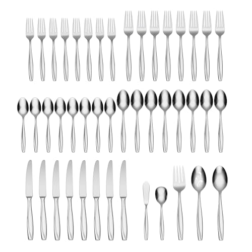Camlynn Mirror 45 Piece Casual Flatware Set (45-Piece Flatware Set)