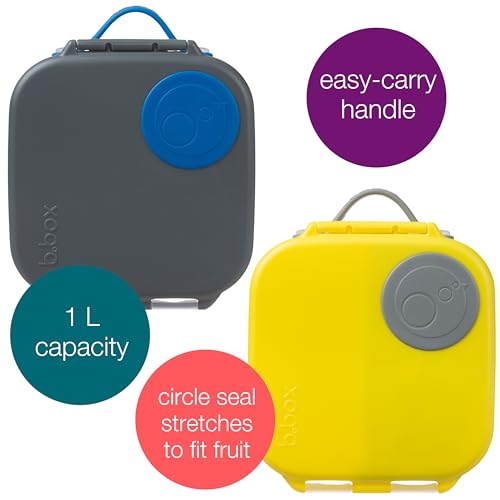 Mini Lunch Box 2
