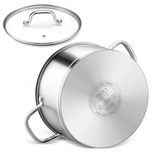 6 QT Stainless Steel Stock Pot (6 Quarts)