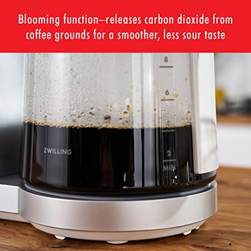 Enfinigy Glass Drip Coffee Maker 12 Cup (Silver)